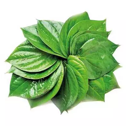 Betel Leaf 20 pcs